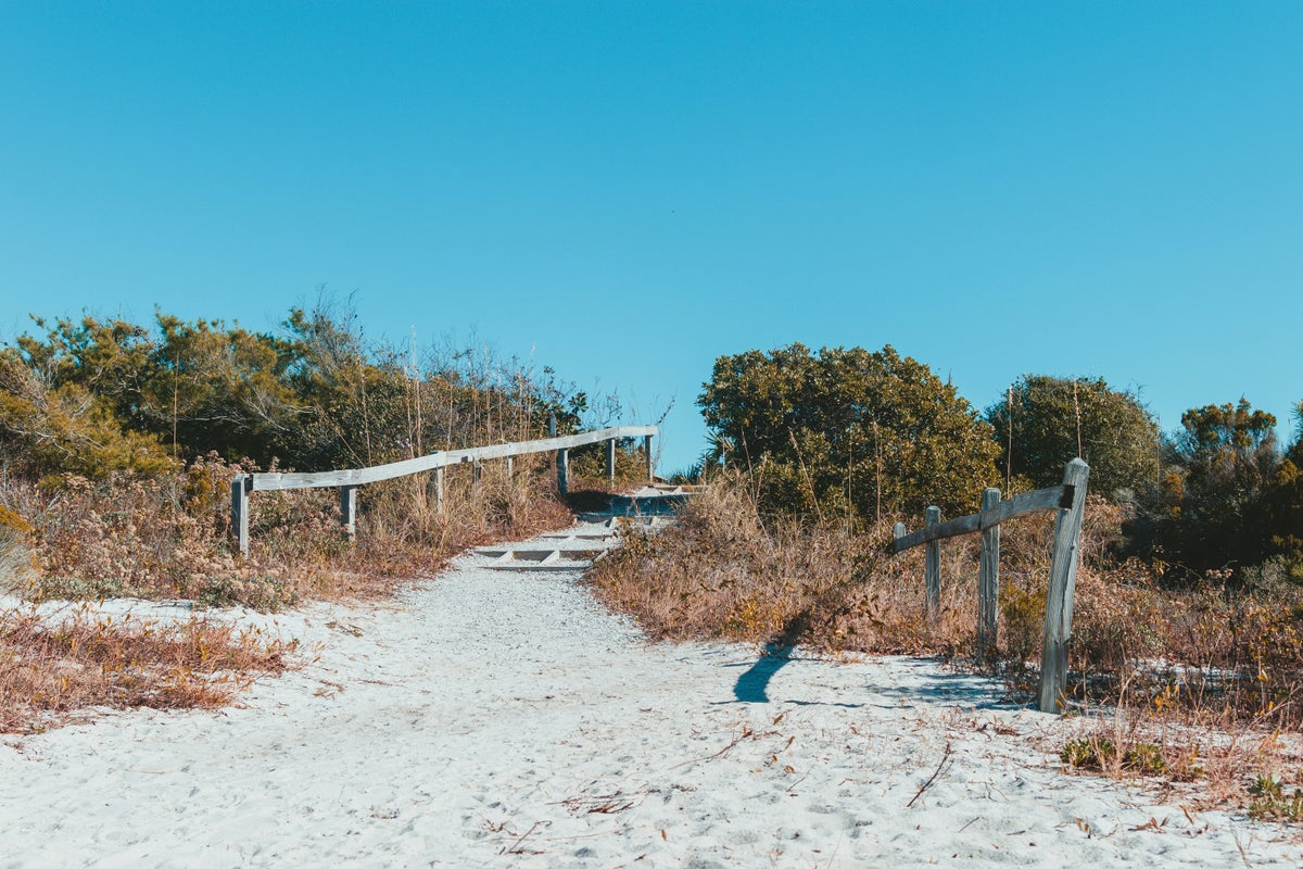 Henderson Beach State Park Guide — Fishing, Hiking, and More