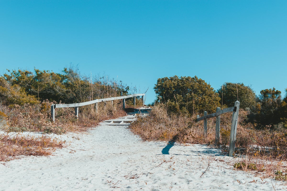 Henderson Beach State Park Guide — Fishing, Hiking, and More 