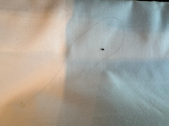 Hyatt Regency Hong Kong Tsim Sha Tsui hair on pillow Hyatt Regency Hong Kong Tsim Sha Tsui hair on pillow