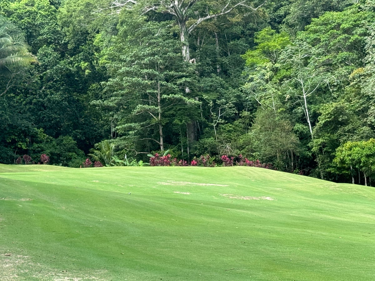 Los Suenos Marriott Golf course rainforest