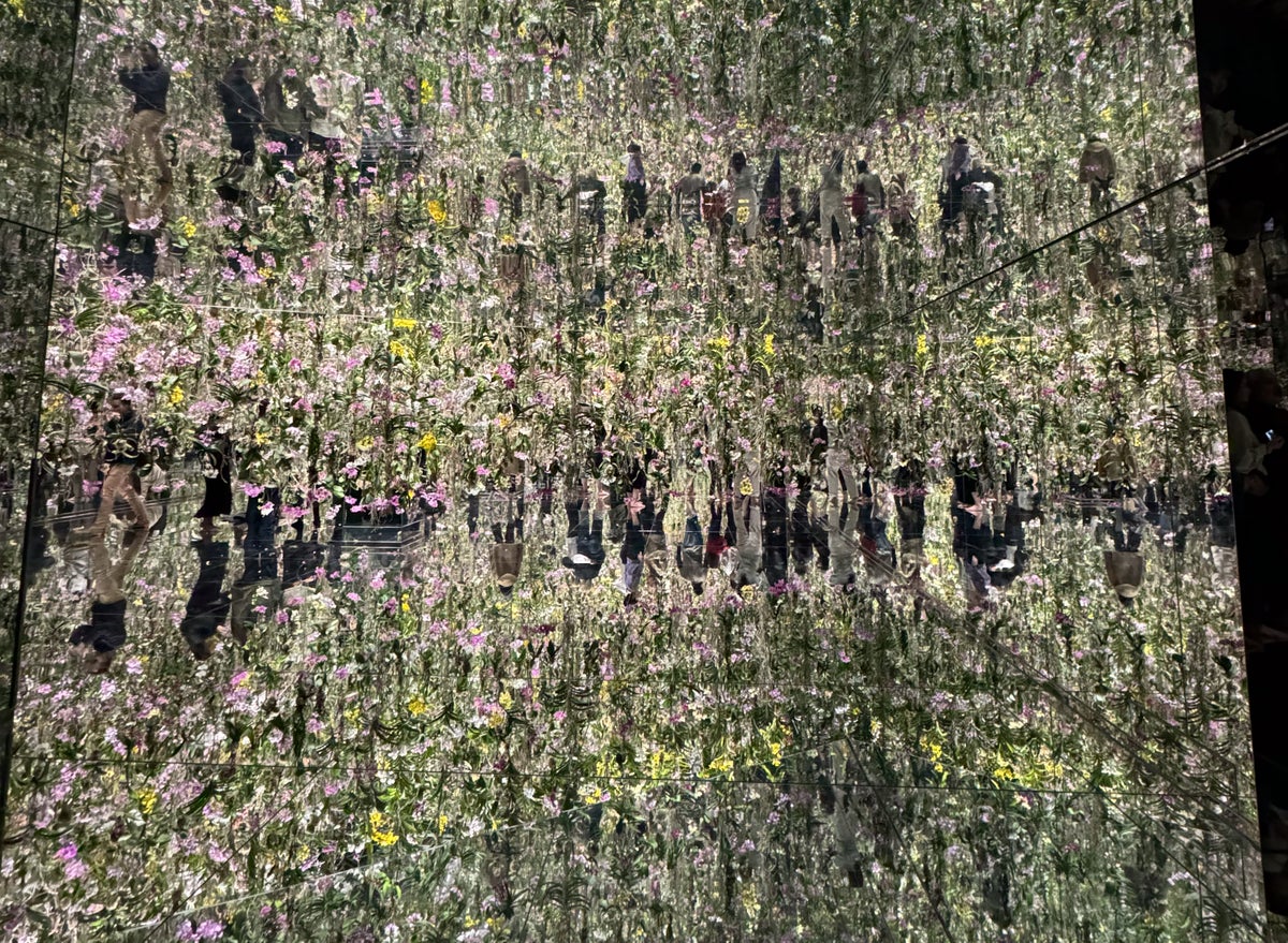 Tokyo Japan TeamLab Planets garden