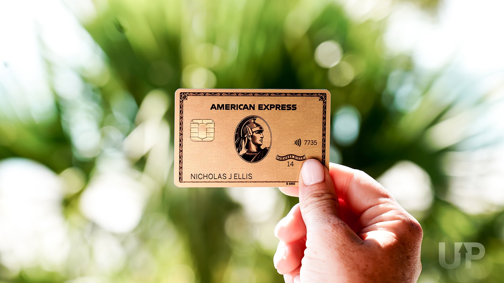 The Best Credit Cards for Each Bonus Category [2025]