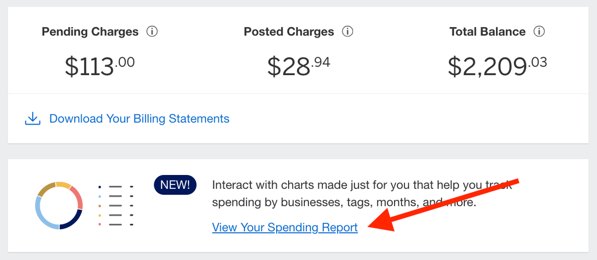 Amex view spending report option