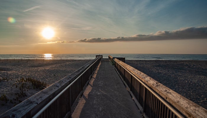 Assateague State Park Guide — Trails, Beach, and More 
