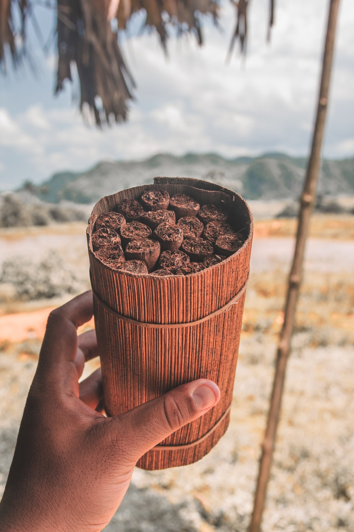 Cuban cigars