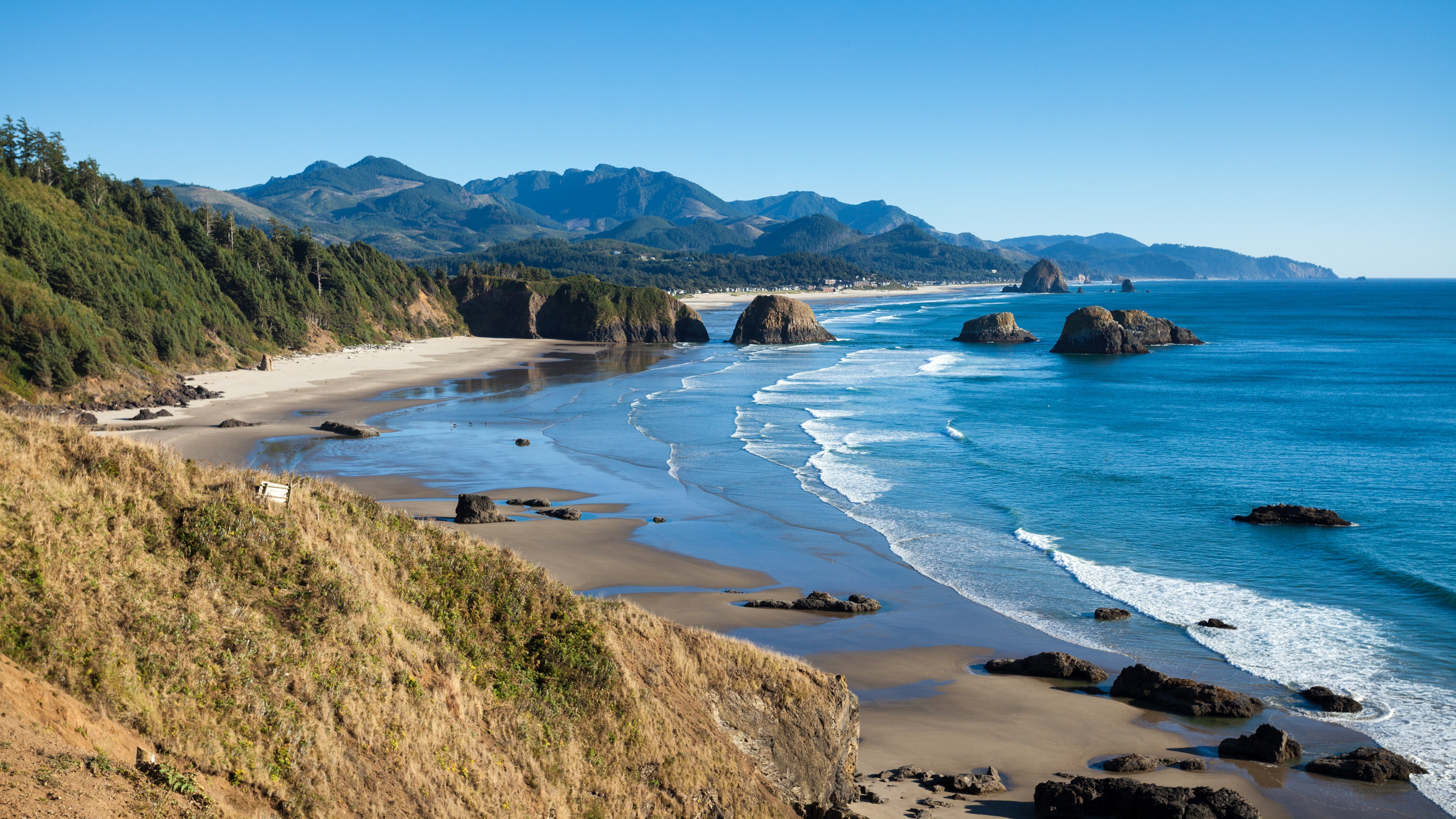 Ecola State Park Guide — Beach, Hiking, and More [2024]