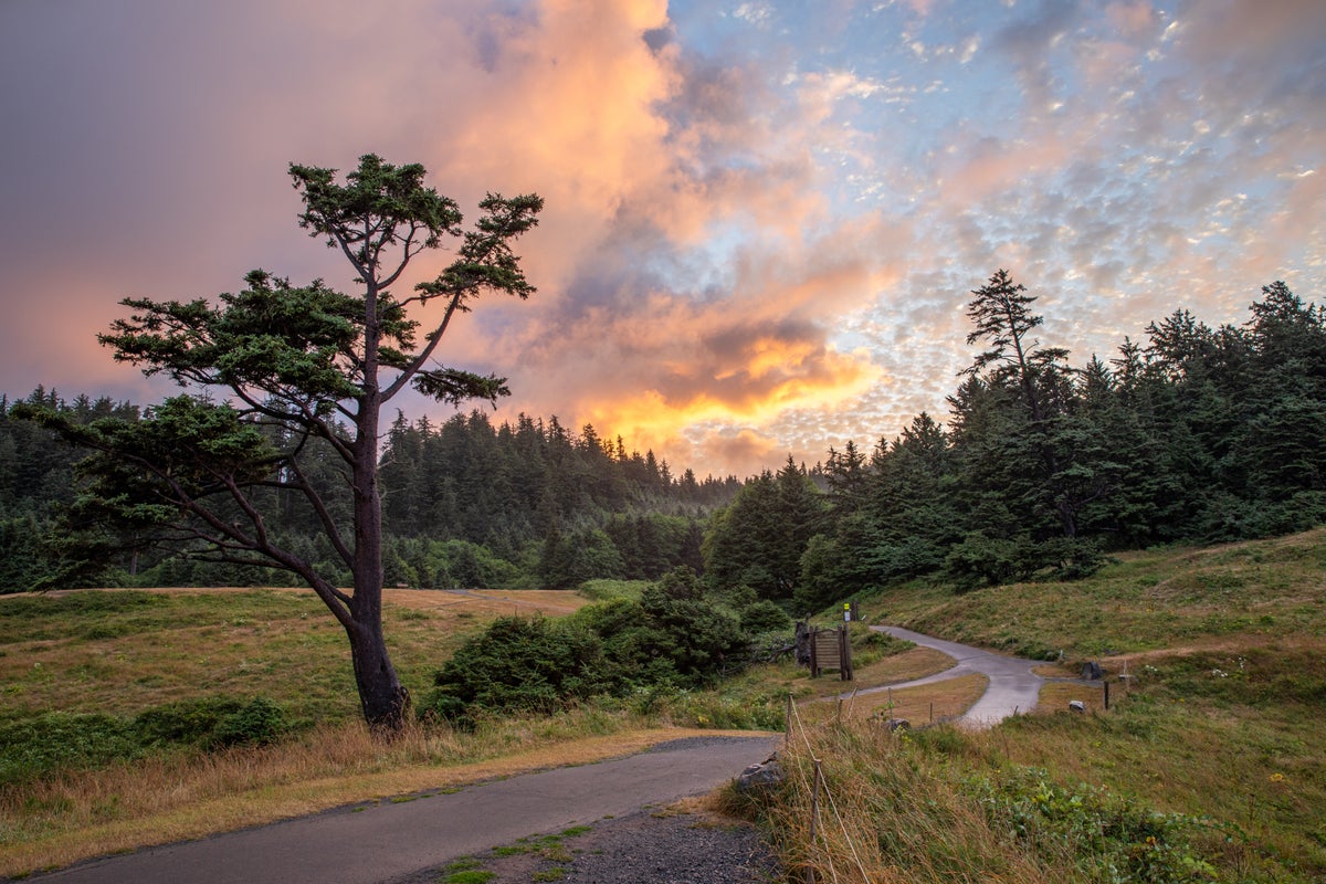 Ecola State Park