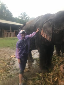 Elephant Nature Park