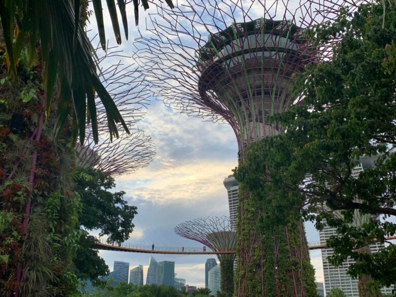 Supertrees at Gardens by the Bay with Marina Bay Sands in Singapore.