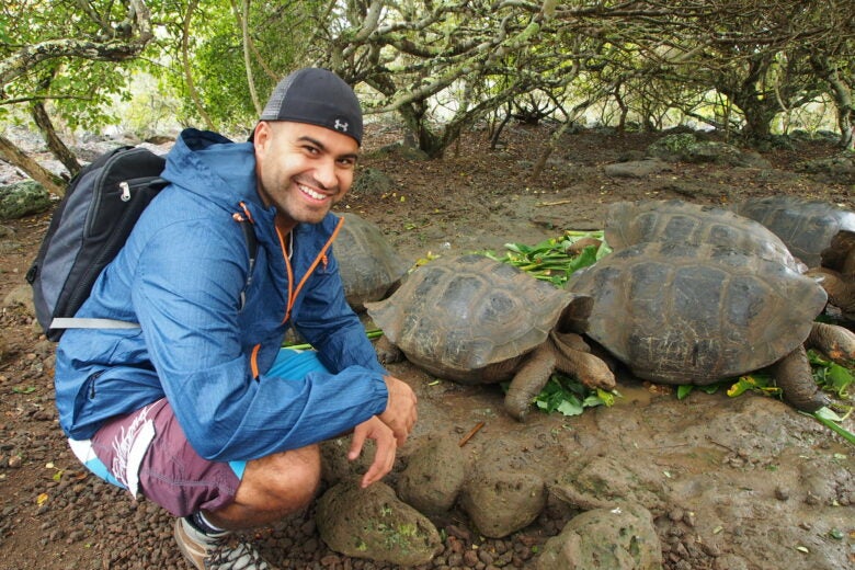 Giant Tortoises in Galapagos Islands