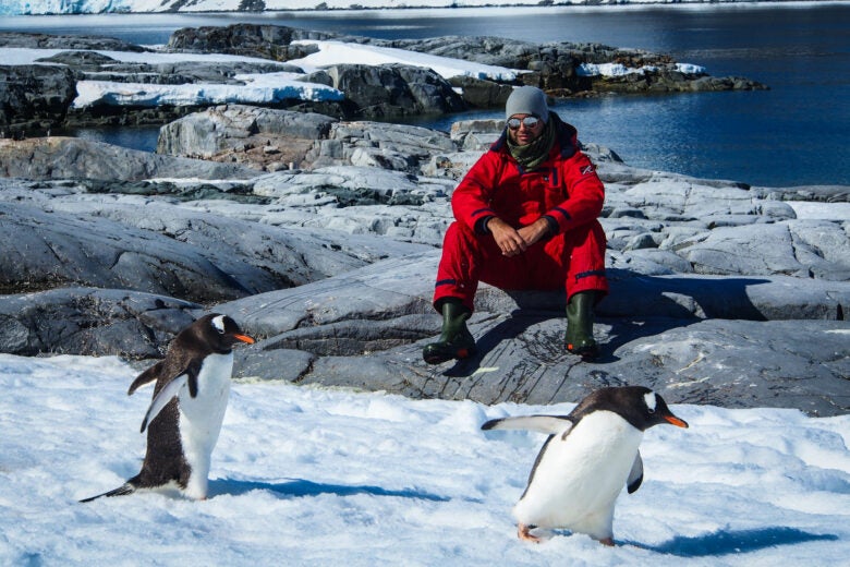Hanging out with Penguins in Antarctica