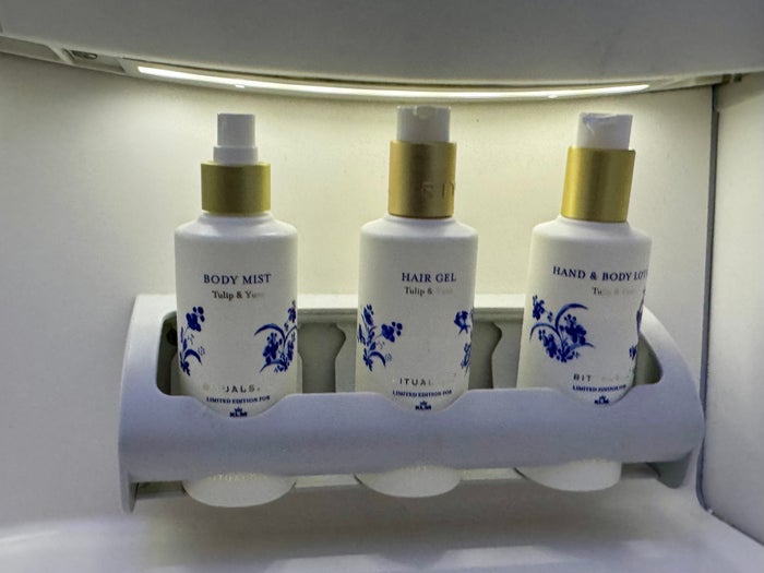 KLM Boeing 78X Business Class bathroom 