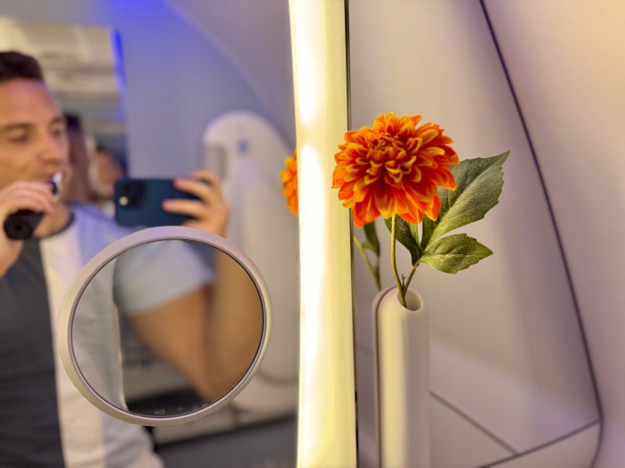KLM Boeing 78X Business Class bathroom