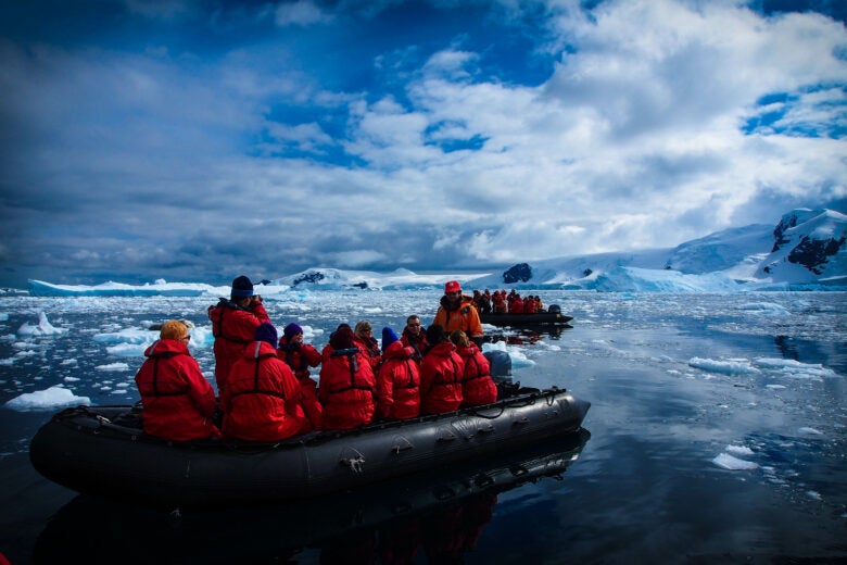 Looking for whales and seals on zodiacs in Antarctica