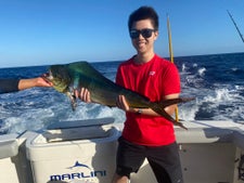 Mahi Mahi fishing in Cabo