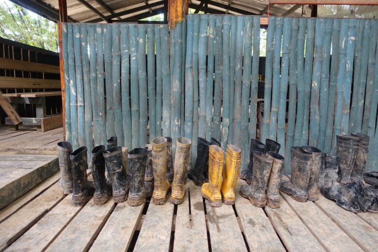Muddy boots in the jungle in Borneo.