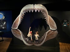 Museum of Natural History New York