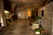 Paris mushroom cave market