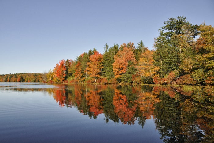 Promised Land State Park Guide — Beach, Hiking, and More 