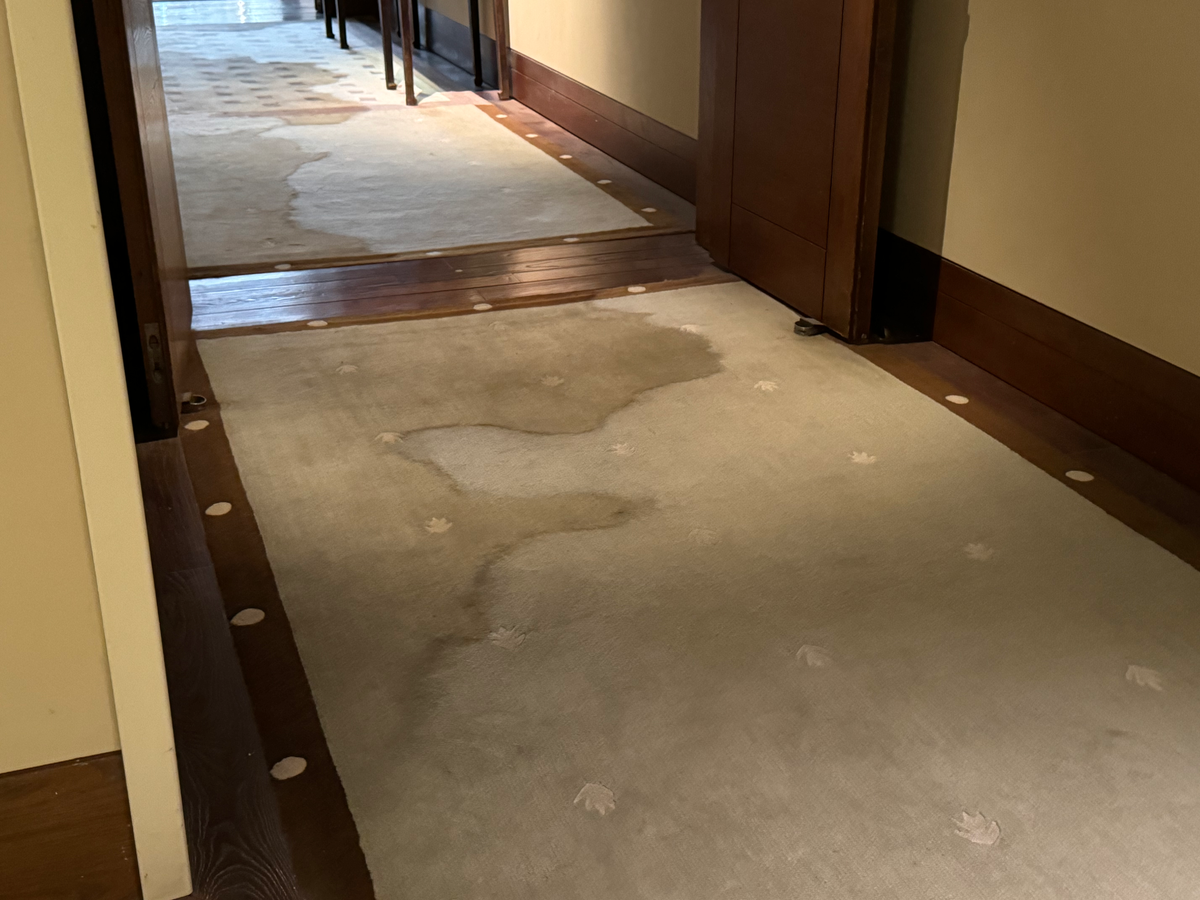 St Regis Lhasa carpet stains near elevator