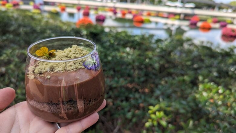 Terrarium dessert at EPCOT s flower and garden festival