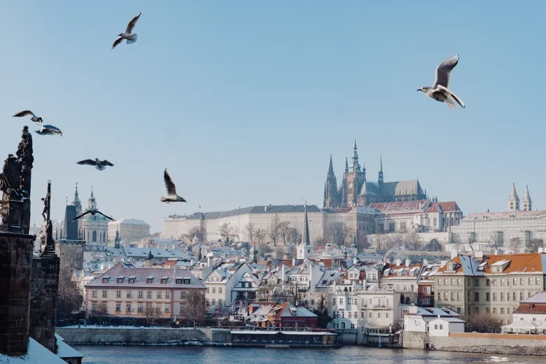 Seagulls fly over a snow-dusted Prague.