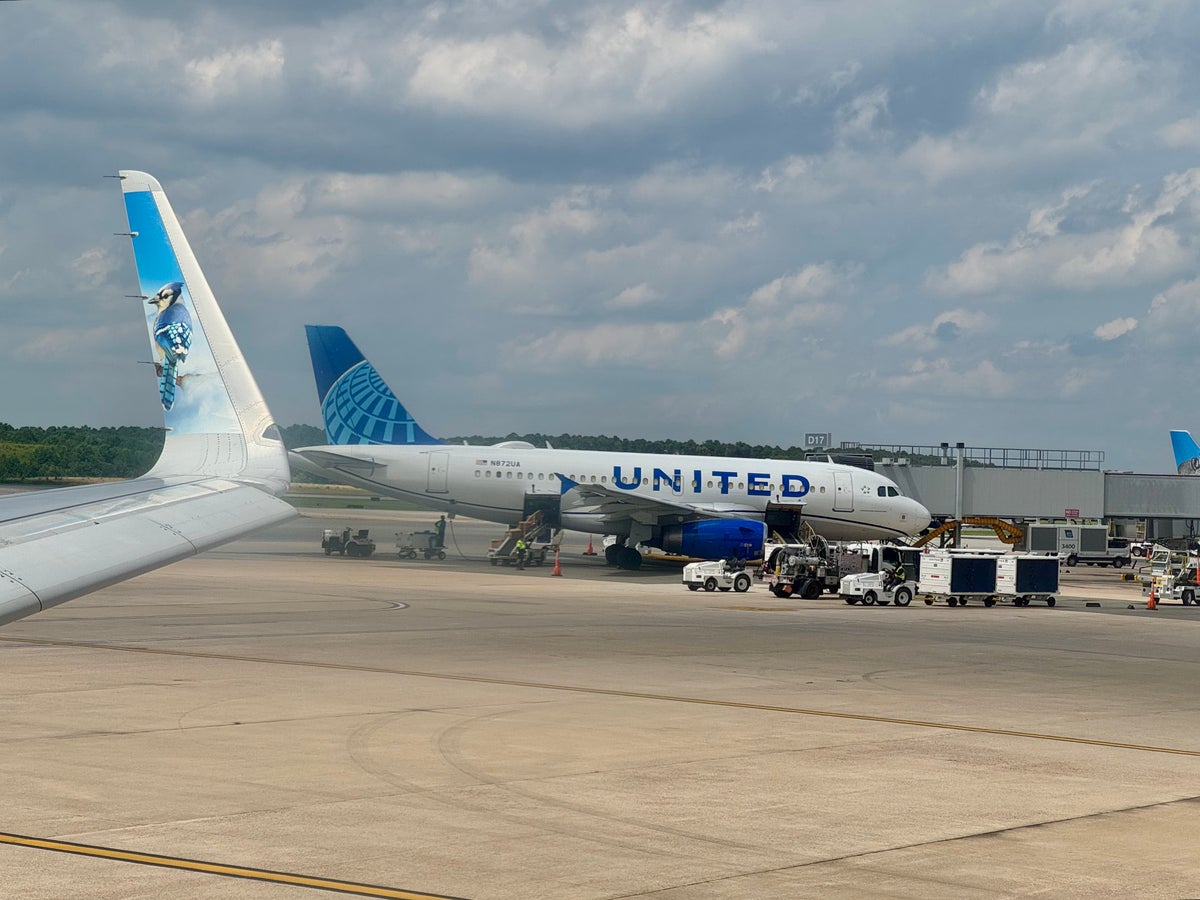 Flight Prices Are Primed for Takeoff, According to United CEO