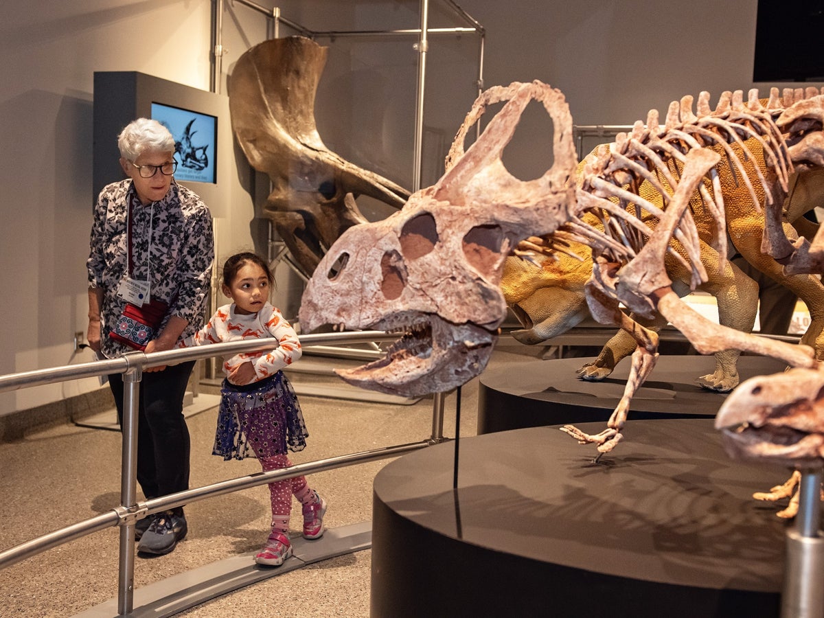 University of Michigan Museum of Natural History