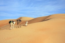 Mauritania Sahara trek