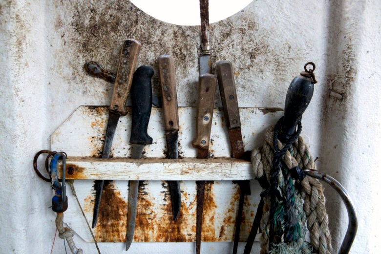 Montauk fishing boat knives