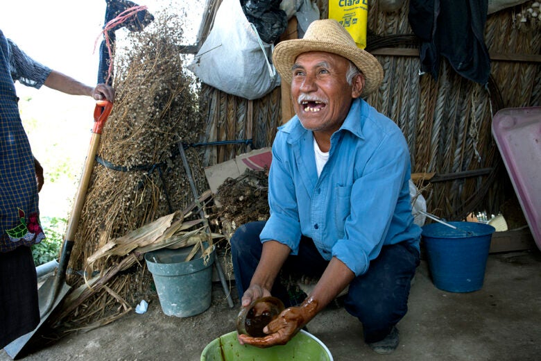 Oaxaca cunicuni turkey farm papa Roberto laughing