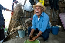 Oaxaca cunicuni turkey farm papa Roberto laughing
