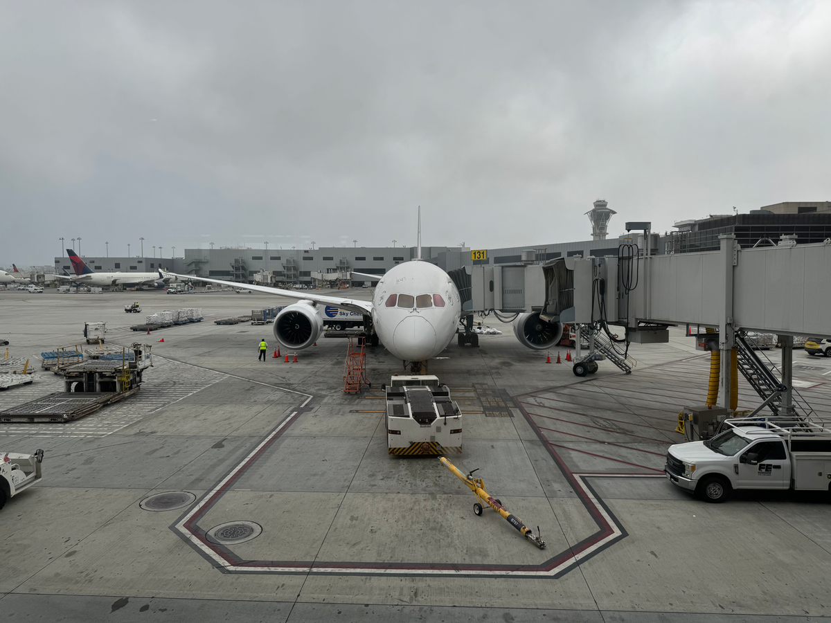 Aeromexico B787 8 plane at LAX