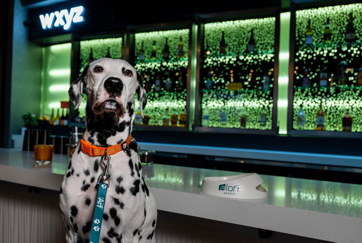 [Expired] Celebrate International Dog Day at Aloft Hotels With a Free Dog-Friendly Brew