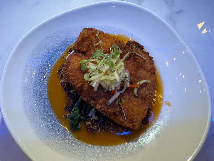 Atardi Aruba Marriott Grouper Atardi Aruba Marriott Grouper