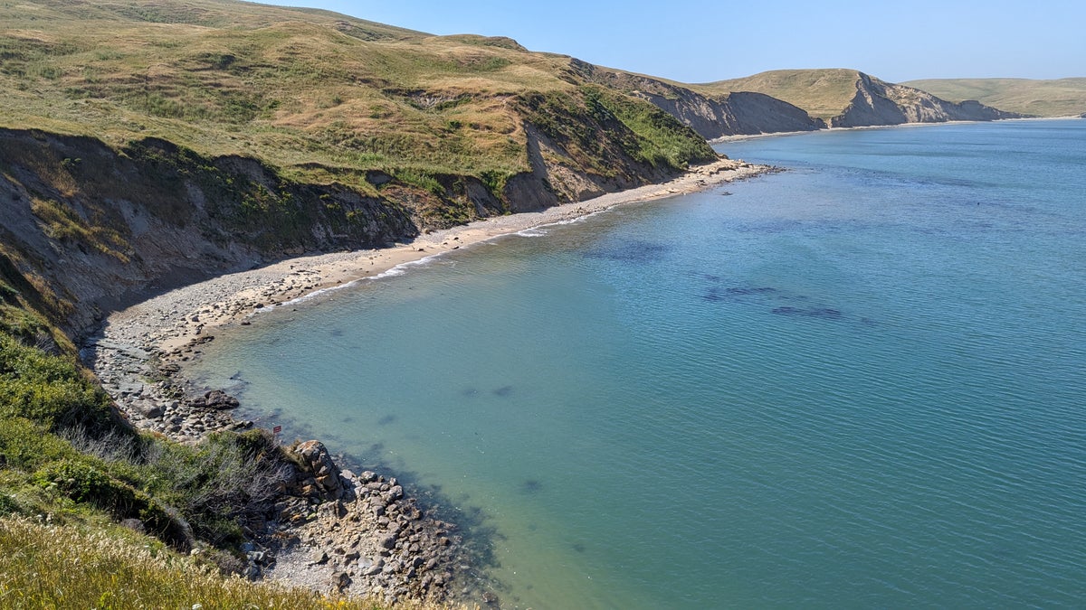 Elephant seal beach at Point Reyes National Seashore