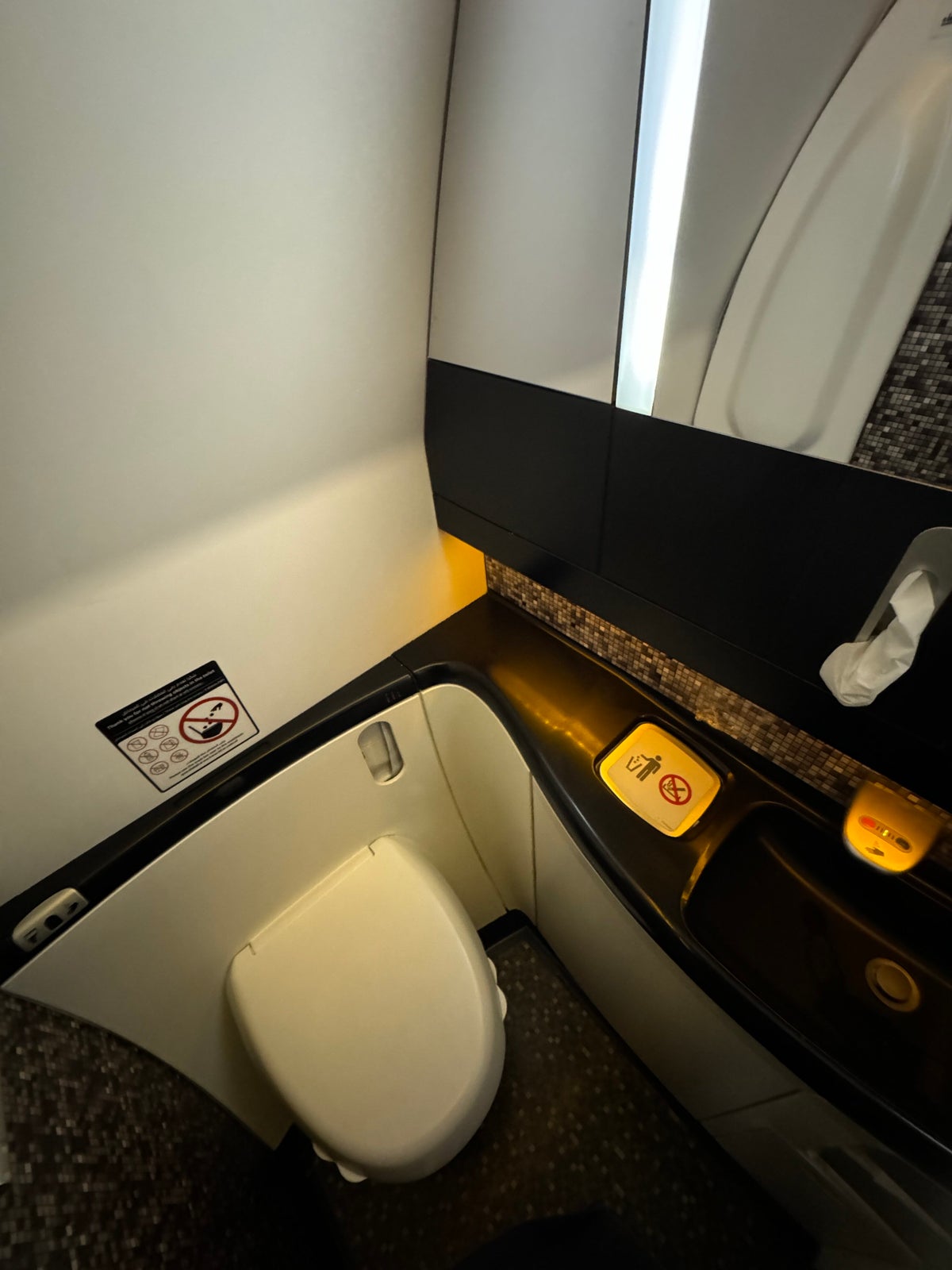 Etihad B787 9 Economy KIX AUH lavatory