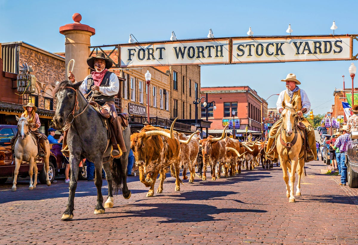 Fort Worth Stockyards herd drive