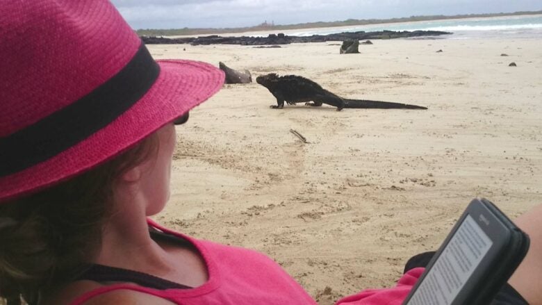 Isabela Island, Galapagos, Ecuador