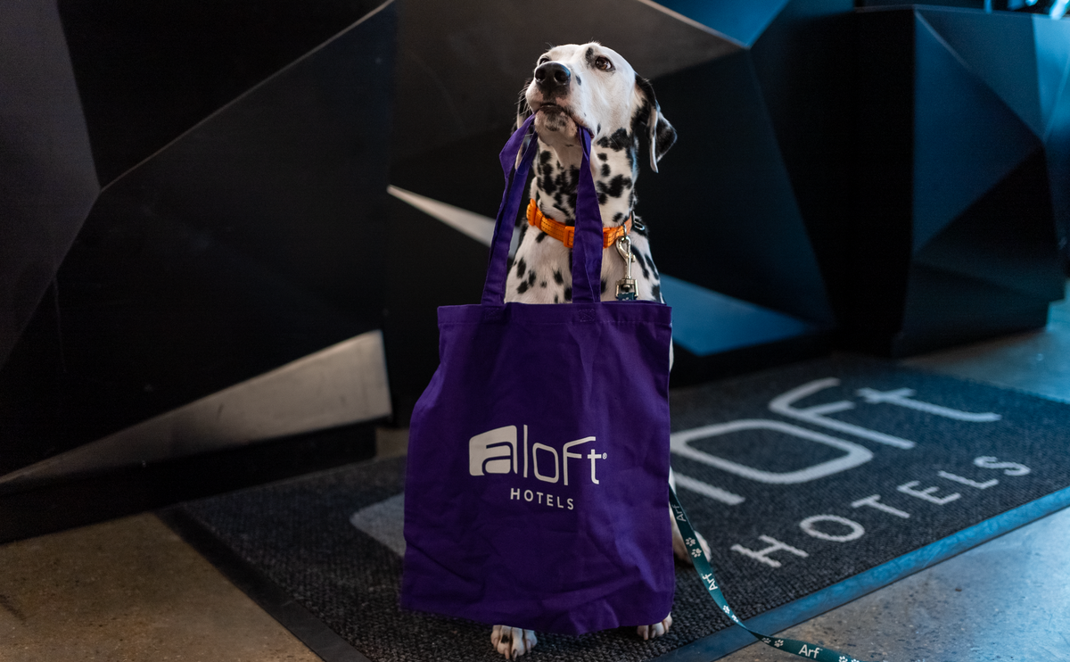 Marriott Aloft dog friendly