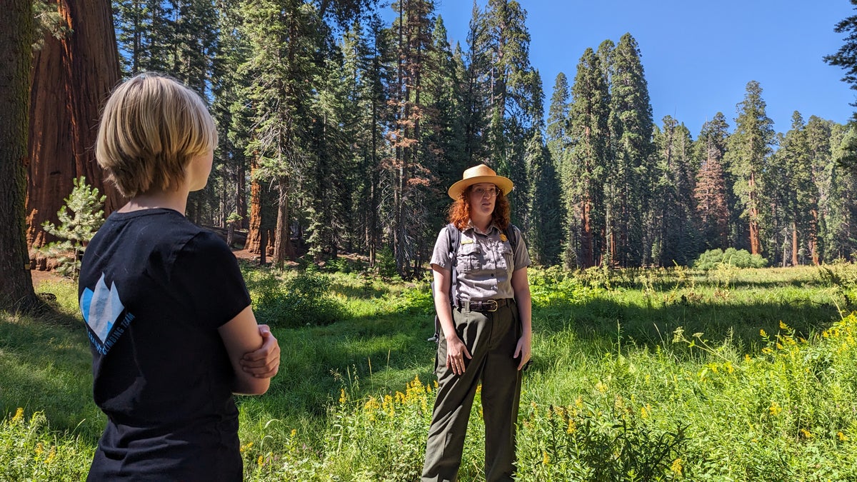 Ranger led hike on Big Trees Trail at Sequoia National Park