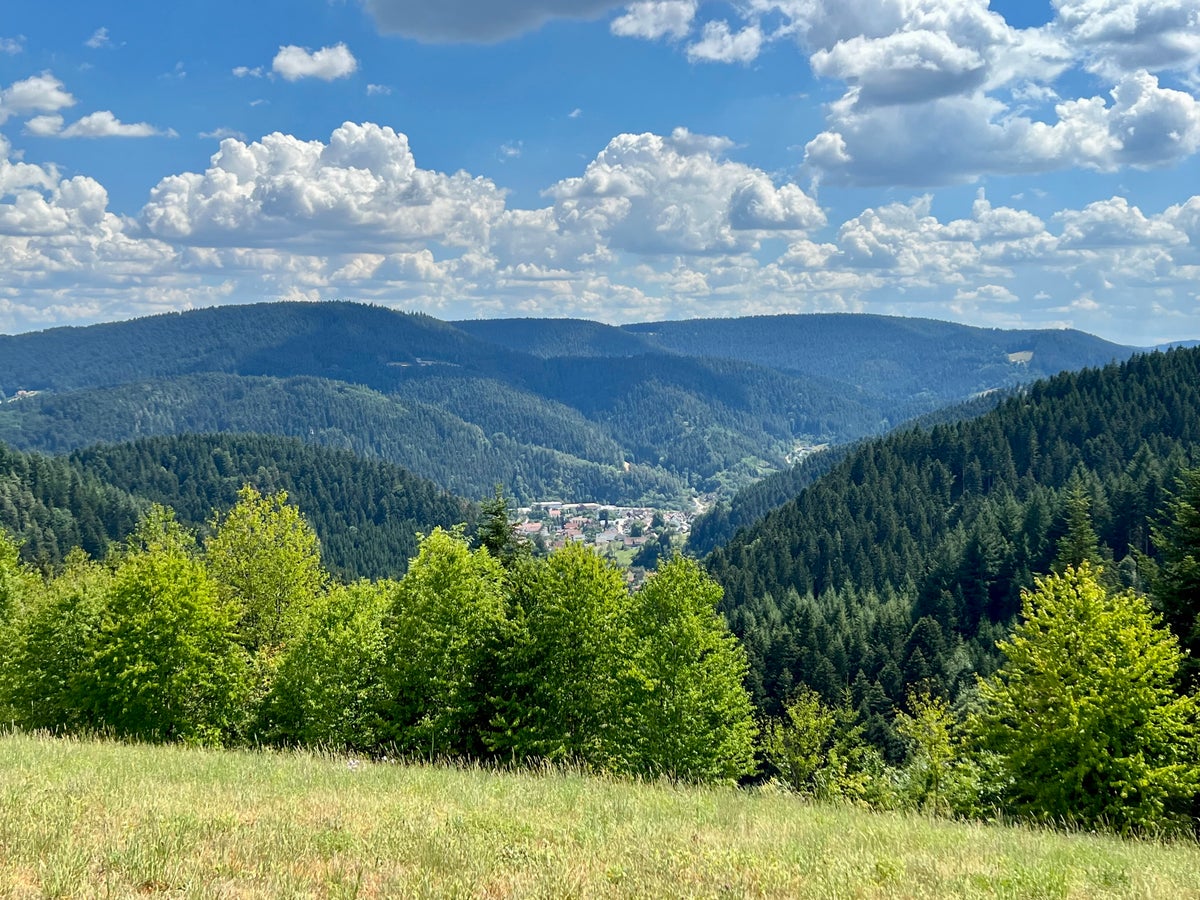 Schenkenzell Black Forest Germany