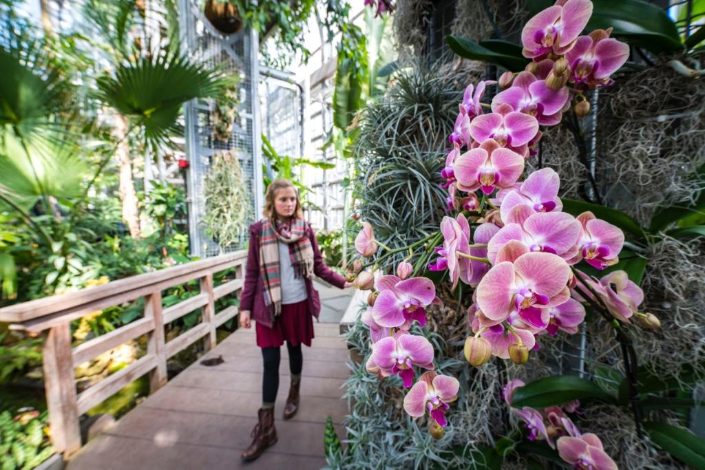 United States Botanic Garden