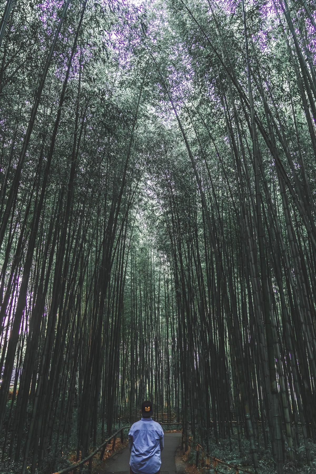 Arashiyama Bamboo Grove Ehsan Haque