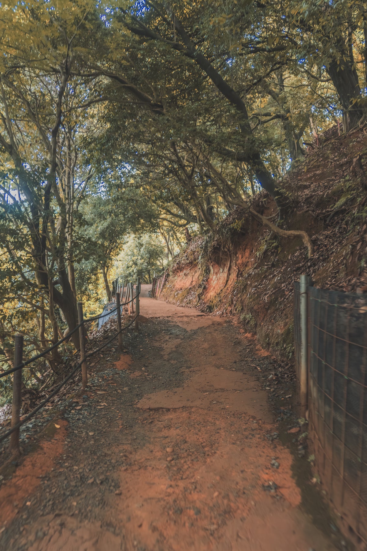 Arashiyama Monkey Park Iwatayama Kyoto pathway