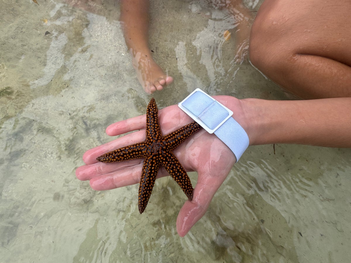 Bakers Cay Starfish