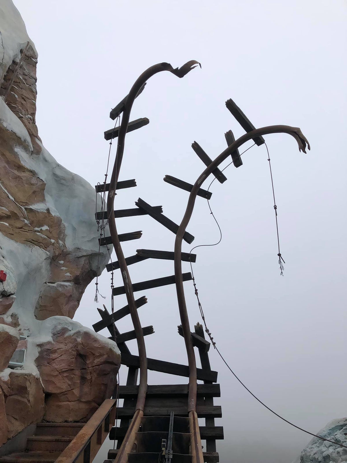 Expedition Everest tracks