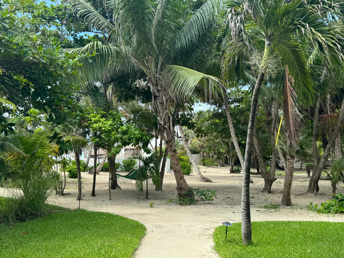 Matachica Resort Belize Mr Mrs Smith hammock