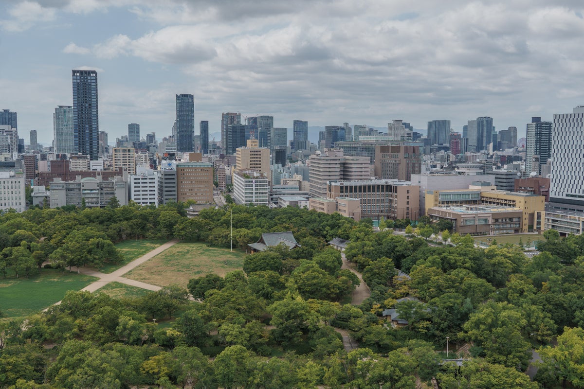 Osaka view from above