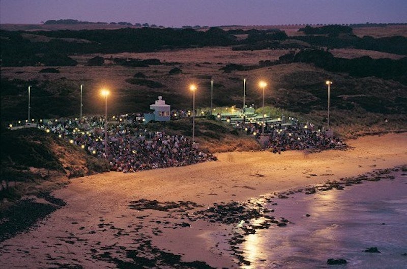 Penguin parade bleachers Philips Island Australia